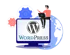 WordPress plugin development company